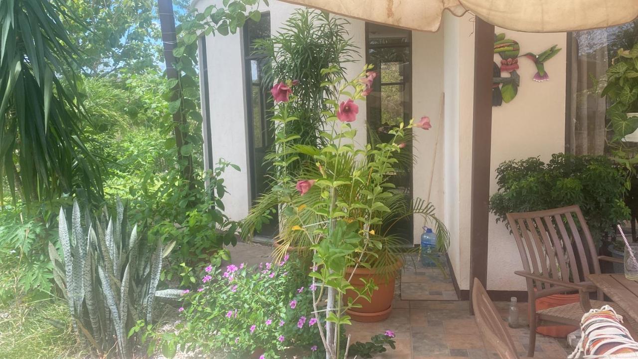 Villa Pura Vida Matapalo  Екстериор снимка