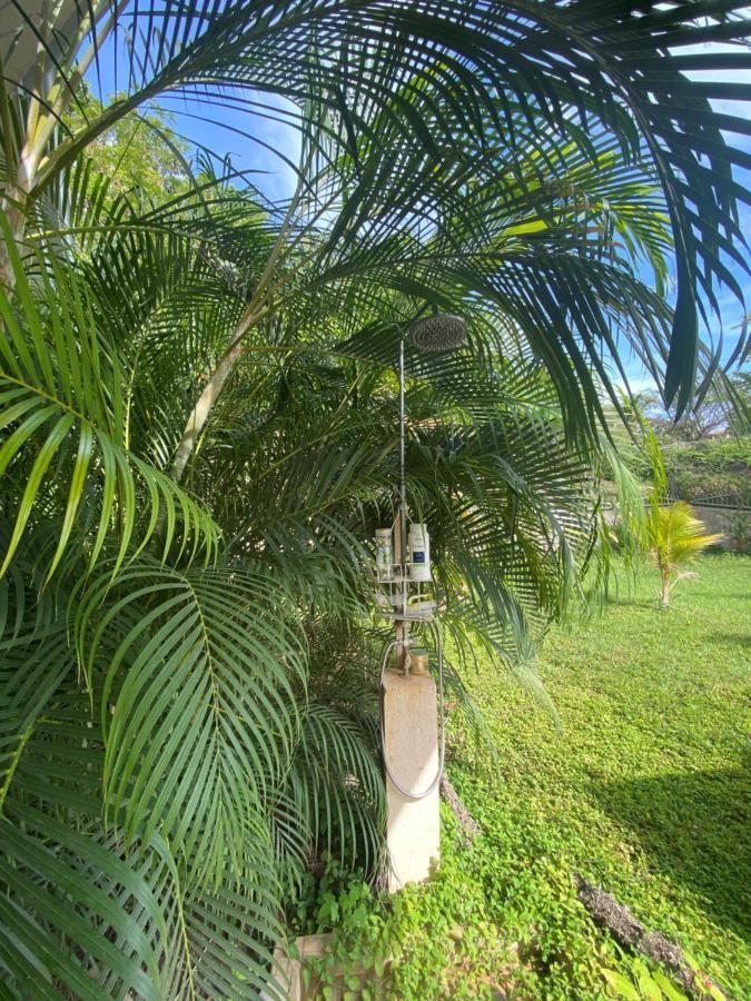 Villa Pura Vida Matapalo  Екстериор снимка
