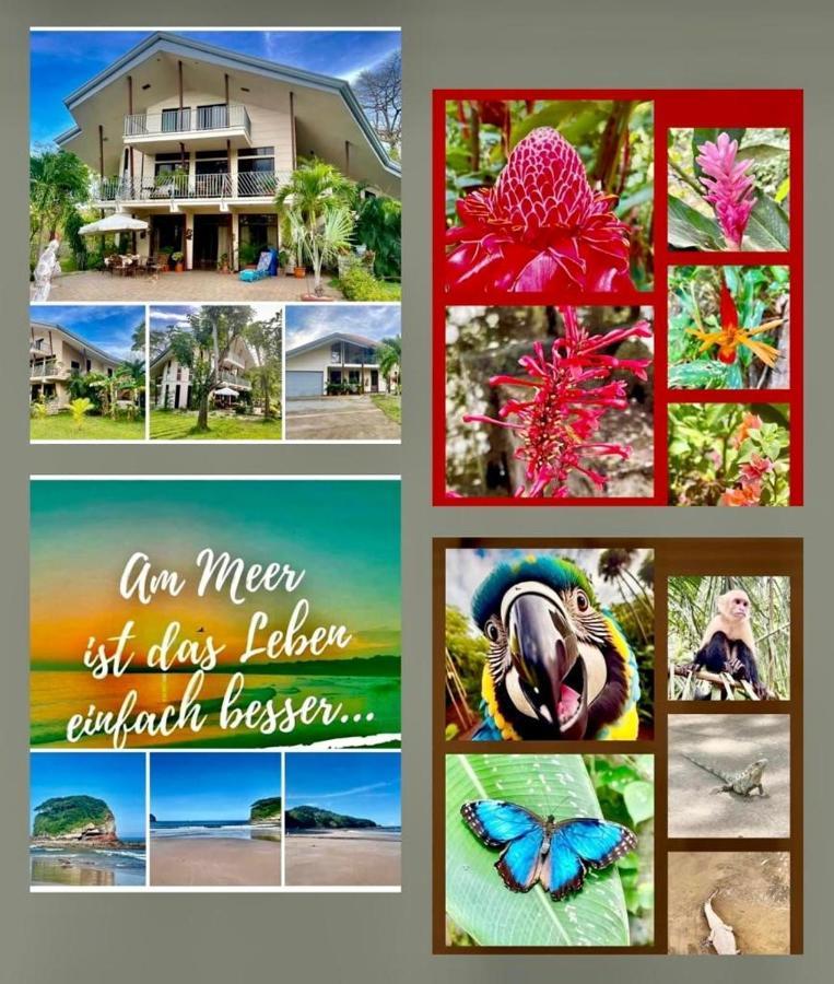 Villa Pura Vida Matapalo  Екстериор снимка